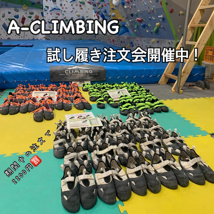 画像534